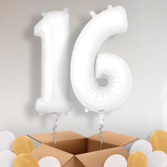 Matte White 16 Balloons in a Box - Package | Small Indoor Plants