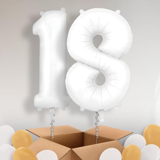 Matte White 18 Balloons in a Box - Package | Small Indoor Plants