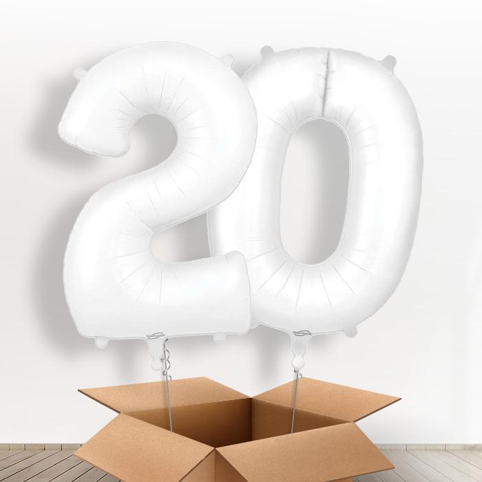 Matte White 20 Balloons in a Box - Giant Numbers | Small Indoor Plants