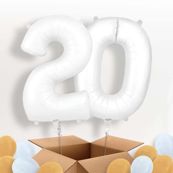 Matte White 20 Balloons in a Box - Package | Small Indoor Plants