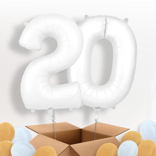 Matte White 20 Balloons in a Box - Package | Small Indoor Plants