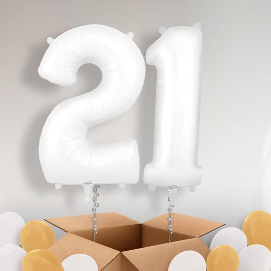 Matte White 21 Balloons in a Box - Package | Small Indoor Plants