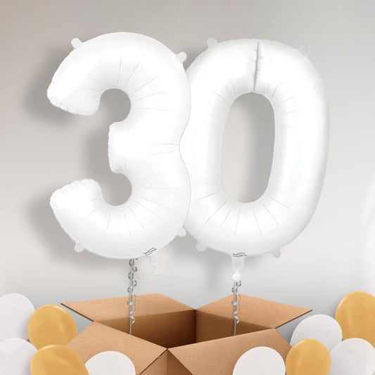Matte White 30 Balloons in a Box - Package | Small Indoor Plants