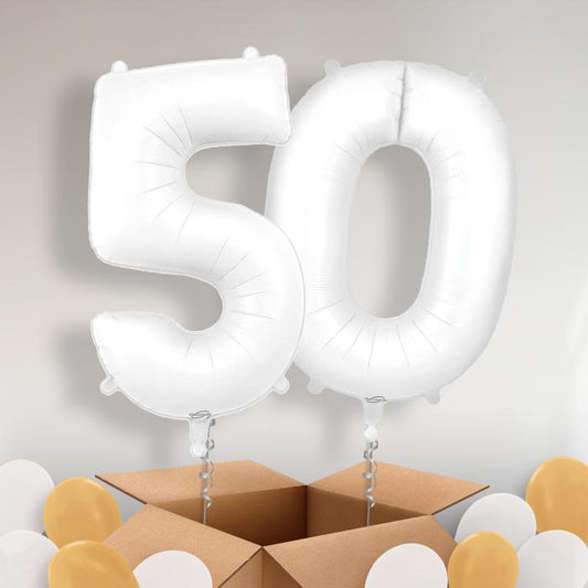 Matte White 50 Balloons in a Box - Package | Small Indoor Plants