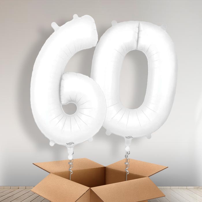 Matte White 60 Balloons in a Box - Giant Numbers | Small Indoor Plants