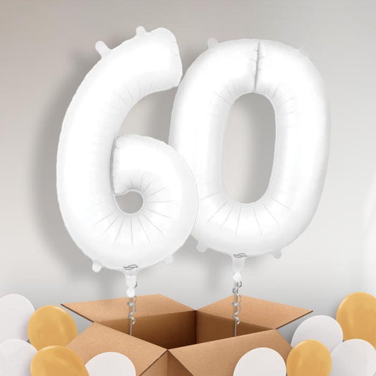 Matte White 60 Balloons in a Box - Package | Small Indoor Plants