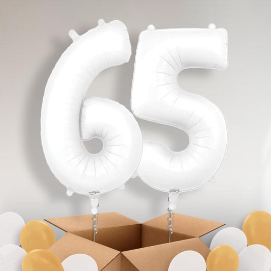 Matte White 65 Balloons in a Box - Package | Small Indoor Plants