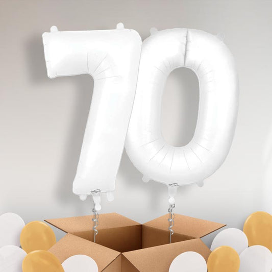 Matte White 70 Balloons in a Box - Package | Small Indoor Plants