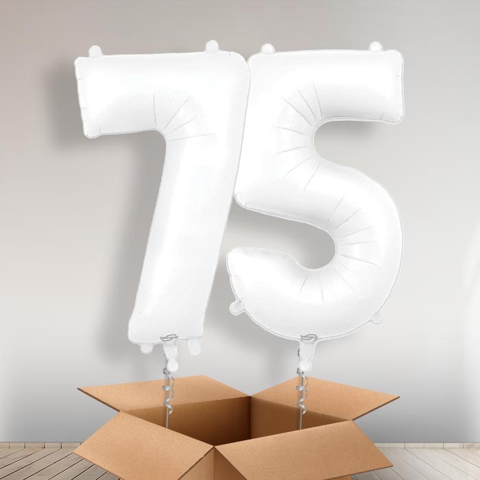 Matte White 75 Balloons in a Box - Giant Numbers | Small Indoor Plants