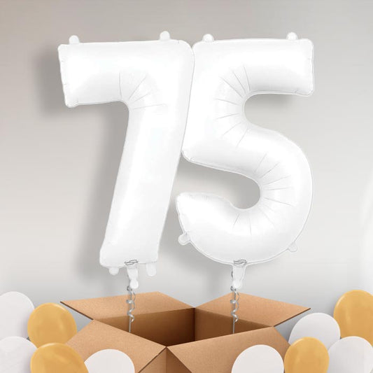Matte White 75 Balloons in a Box - Package | Small Indoor Plants