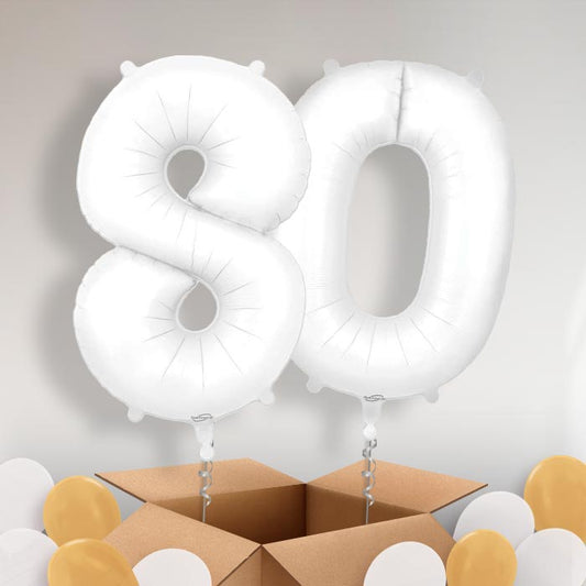 Matte White 80 Balloons in a Box - Package | Small Indoor Plants
