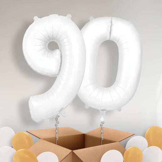 Matte White 90 Balloons in a Box - Package | Small Indoor Plants