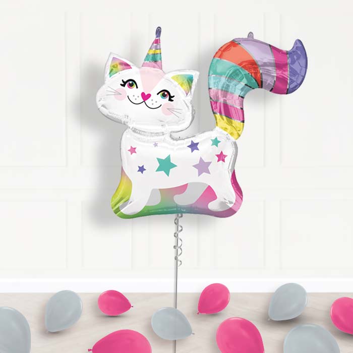 Giant Caticorn Balloon Package Delivered