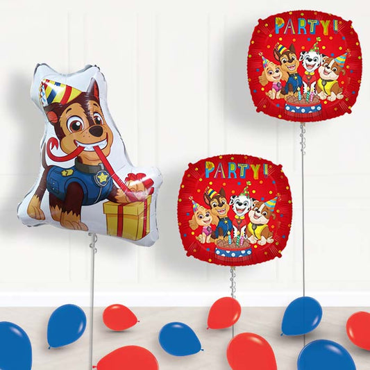 Giant Chase Shaped Balloon Package Delivered - Package | Small Indoor Plants
