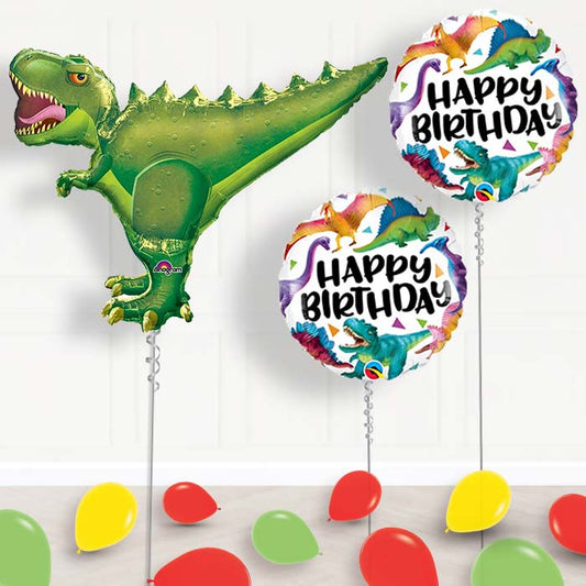 Dinosaur Birthday Balloon Display in a Box - Package | Small Indoor Plants