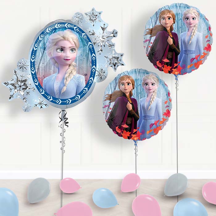 Disney Frozen Balloon Display in a Box - Package | Small Indoor Plants