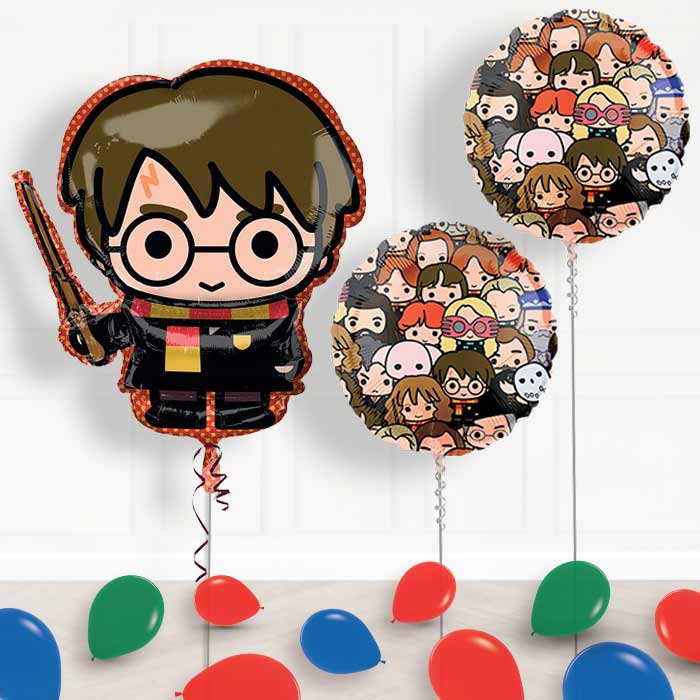 Harry Potter Balloon Display in a Box Gift - Package | Small Indoor Plants