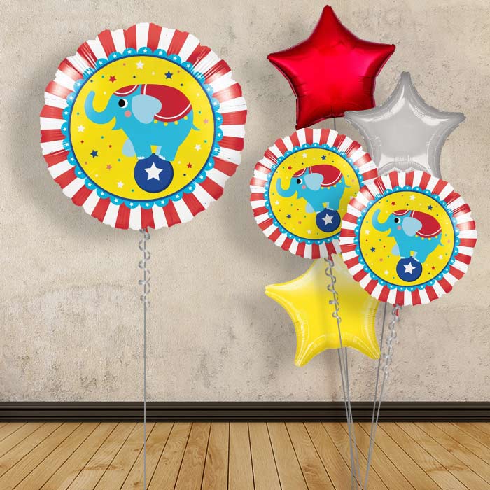 Circus Elephant Balloons in a Box - 1 Balloon | Small Indoor Plants