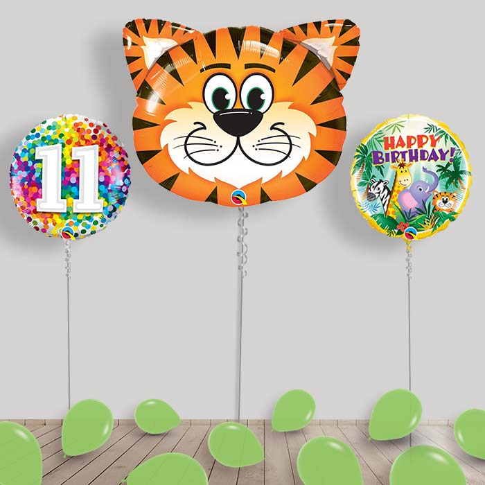 Jungle & Safari Balloon Package Inflated Helium Balloons Delivered - 11th Birthday | Small Indoor Plants