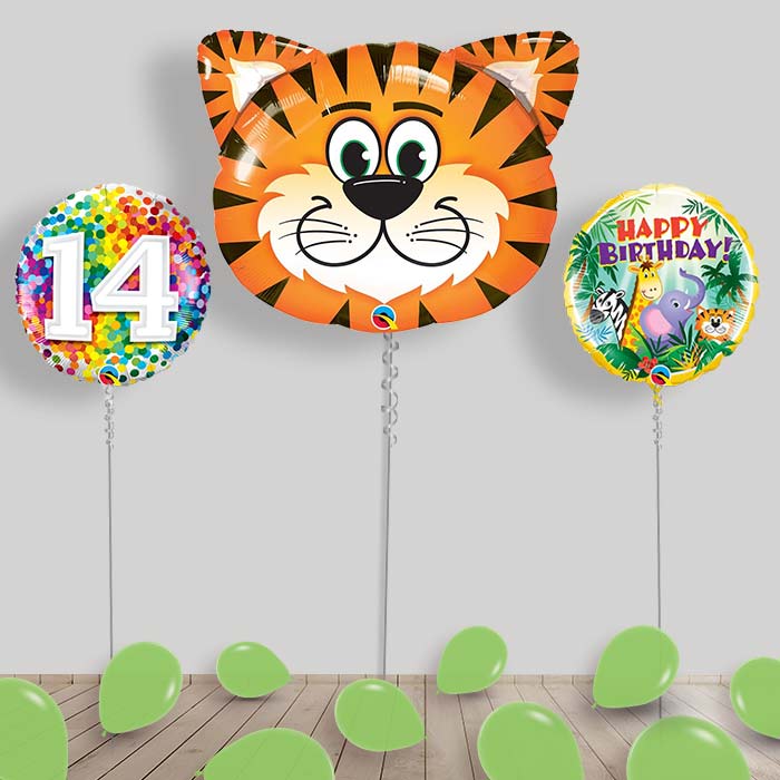 Jungle & Safari Balloon Package Inflated Helium Balloons Delivered - 14th Birthday | Small Indoor Plants