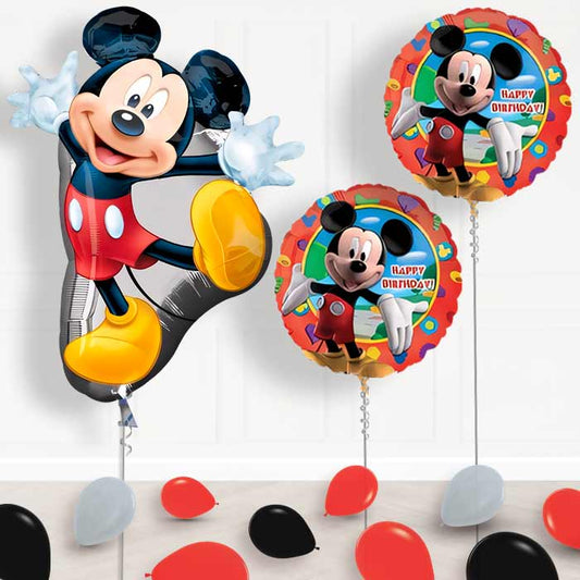 Mickey Mouse Balloon Display in a Box - Package | Small Indoor Plants