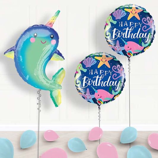 Narwhal Balloons Display Package in a Box - Package | Small Indoor Plants