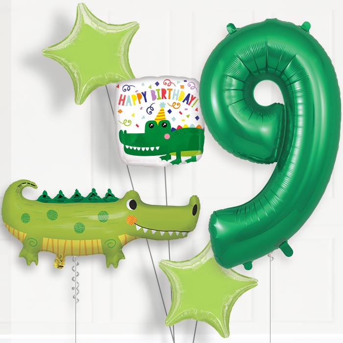 Alligator | Crocodile Helium Balloon Package 9th Birthday - Number 9 | Small Indoor Plants