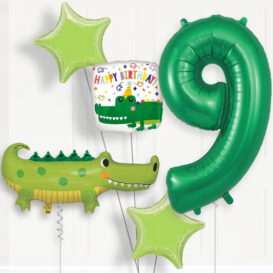 Alligator | Crocodile Helium Balloon Package 9th Birthday - Number 9 | Small Indoor Plants
