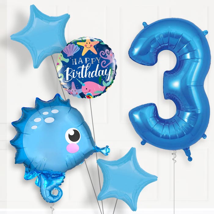 Blue Seahorse Helium Balloon Package 3rd Birthday - Number 3 | Small Indoor Plants