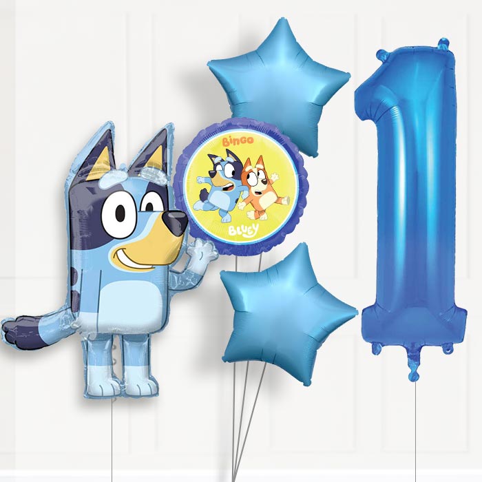 Bluey Helium Balloon Package 1st Birthday - Number 1 | Small Indoor Plants