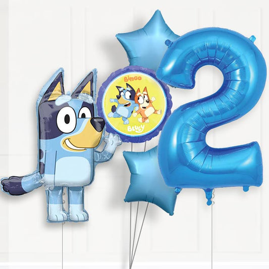 Bluey Helium Balloon Package 2nd Birthday - Number 2 | Small Indoor Plants