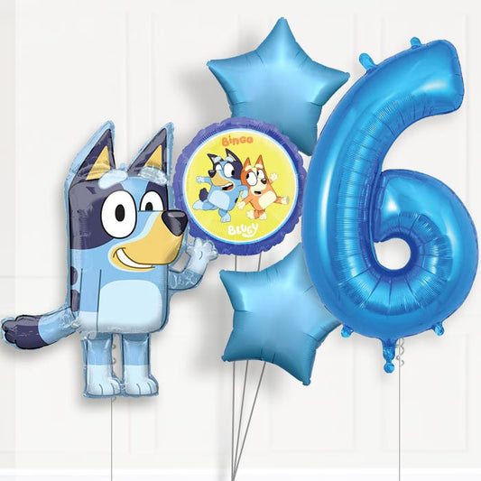 Bluey Helium Balloon Package 6th Birthday - Number 6 | Small Indoor Plants