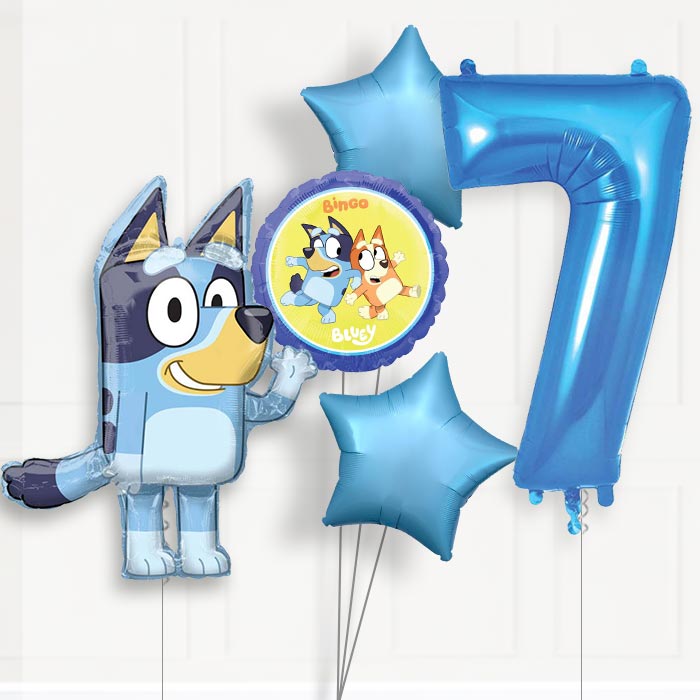 Bluey Helium Balloon Package 7th Birthday - Number 7 | Small Indoor Plants