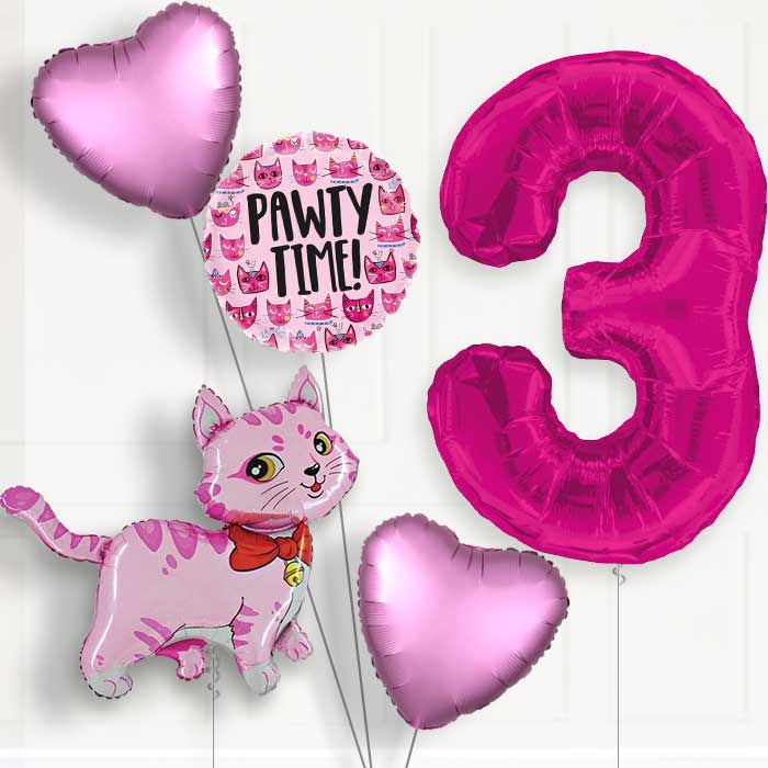 Cat Party Hat Helium Balloon Package 3rd Birthday - Number 3 | Small Indoor Plants