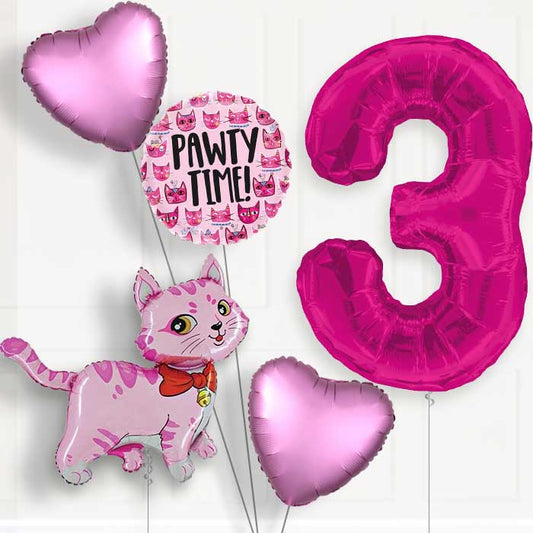 Cat Party Hat Helium Balloon Package 3rd Birthday - Number 3 | Small Indoor Plants