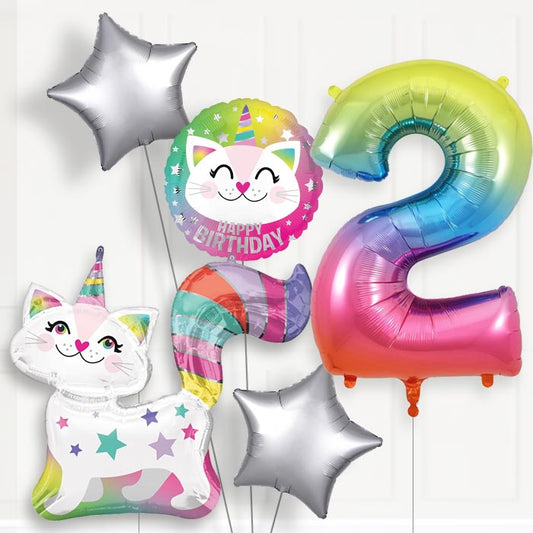 Caticorn Helium Balloon Package 2nd Birthday - Number 2 | Small Indoor Plants