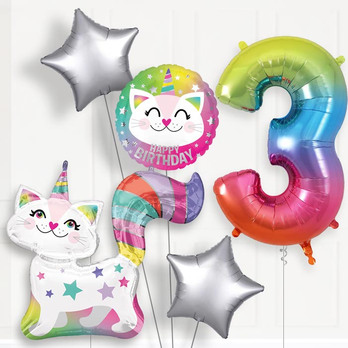 Caticorn Helium Balloon Package 3rd Birthday - Number 3 | Small Indoor Plants