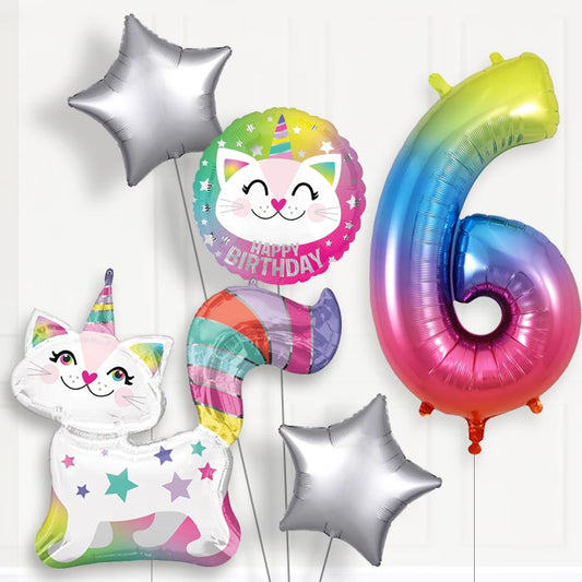 Caticorn Helium Balloon Package 6th Birthday - Number 6 | Small Indoor Plants