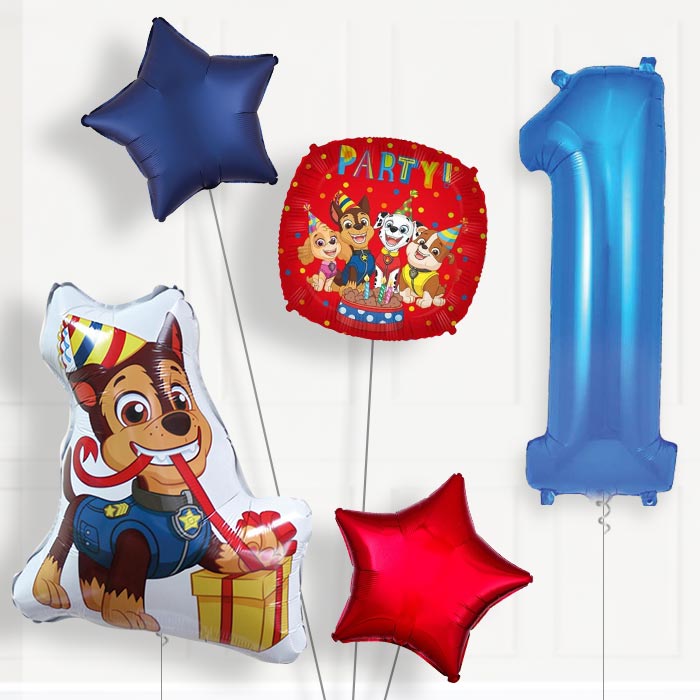 Chase Shaped Helium Balloon Package 1st Birthday - Number 1 | Small Indoor Plants