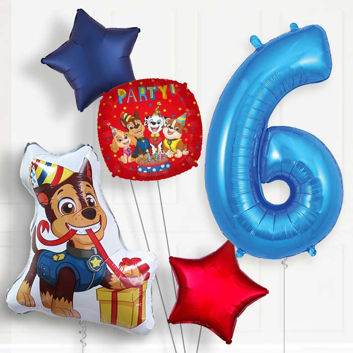 Chase Shaped Helium Balloon Package 6th Birthday - Number 6 | Small Indoor Plants
