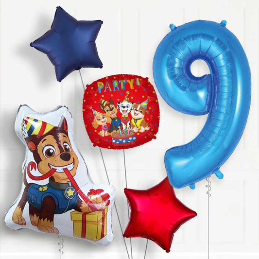 Chase Shaped Helium Balloon Package 9th Birthday - Number 9 | Small Indoor Plants