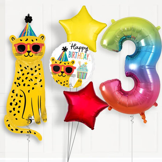 Cheetah Helium Balloon Package 3rd Birthday - Number 3 | Small Indoor Plants