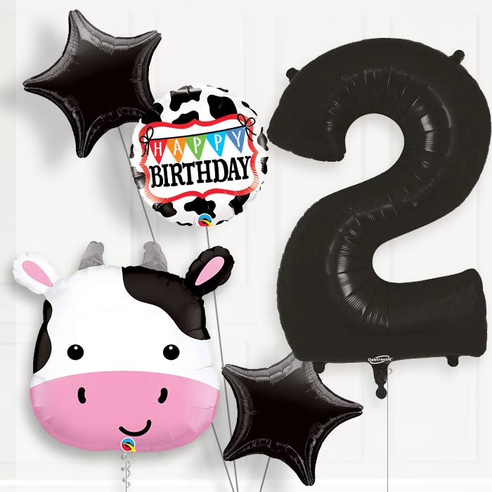Cow Helium Balloon Package 2nd Birthday - Number 2 | Small Indoor Plants