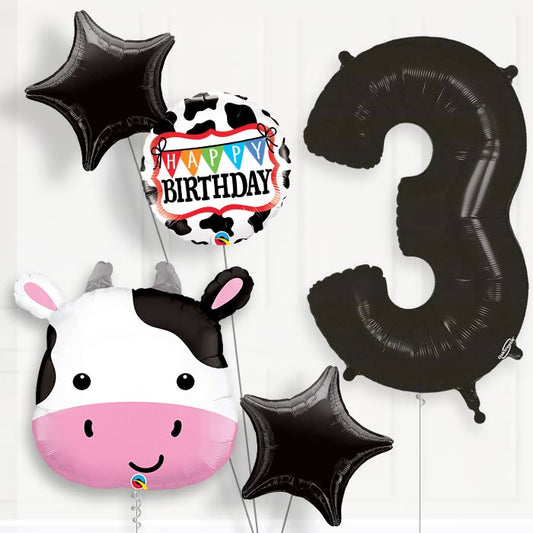 Cow Helium Balloon Package 3rd Birthday - Number 3 | Small Indoor Plants