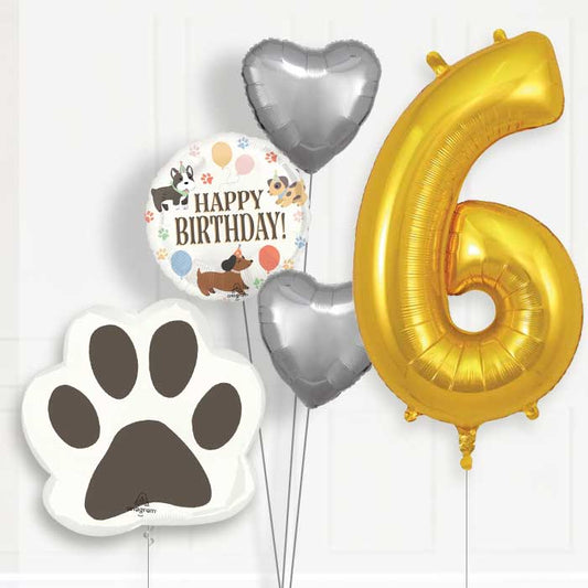 Dog Helium Balloon Package 6th Birthday - Number 6 | Small Indoor Plants