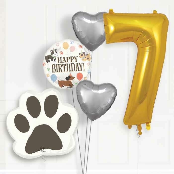 P-NUMBERPACKAGE-DOG-7_a2e75006-5f76-45bc-9088-5ce7be6cd294