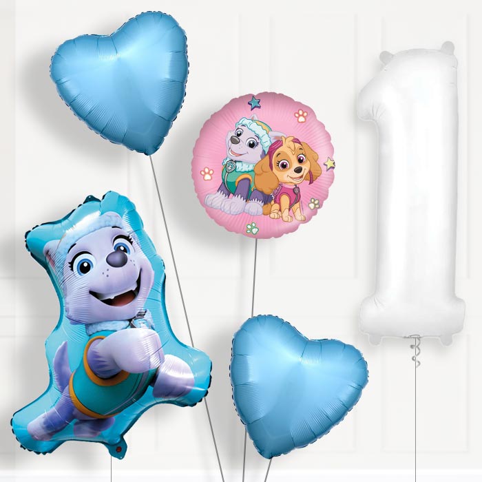 Everest Helium Balloon Package 1st Birthday - Number 1 | Small Indoor Plants