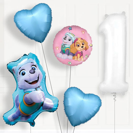 Everest Helium Balloon Package 1st Birthday - Number 1 | Small Indoor Plants