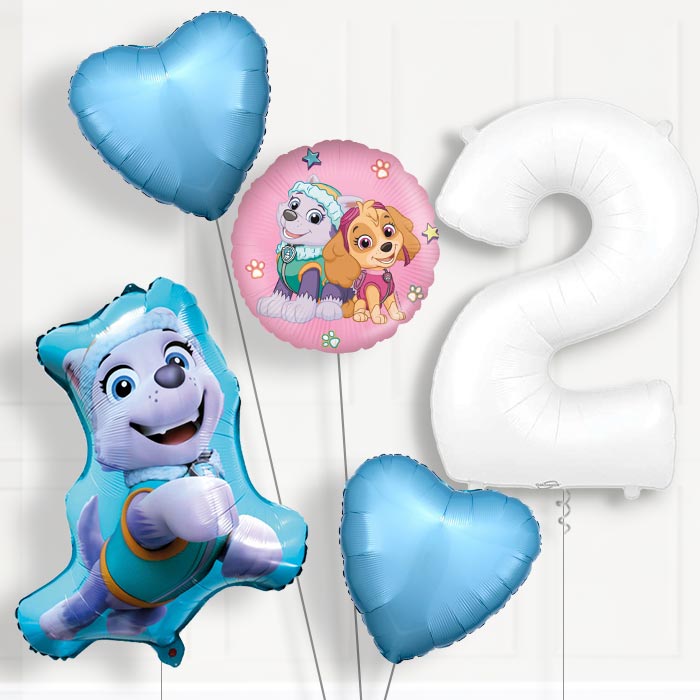 Everest Helium Balloon Package 2nd Birthday - Number 2 | Small Indoor Plants
