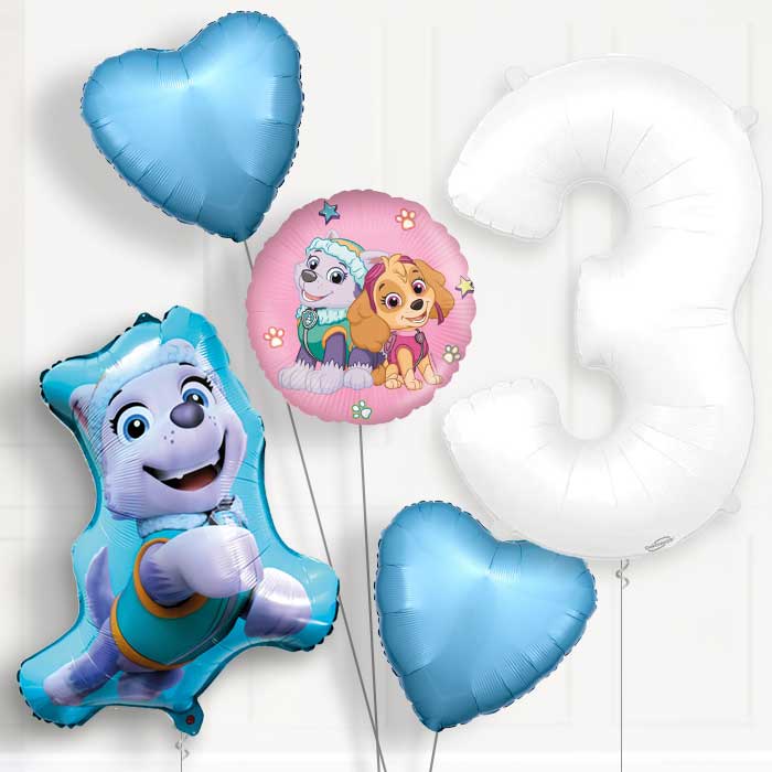 Everest Helium Balloon Package 3rd Birthday - Number 3 | Small Indoor Plants